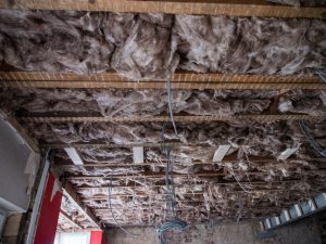 Exposed ceiling with insulation, home renovation, mold