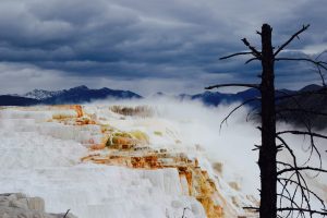 Yellowstone National Park, view of Mammoth hot springs, colorful rock formations with natural water feature, cascading streams, mist, mountain backdrop, blue clouds and dead tree in the foreground